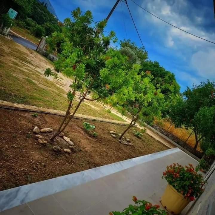 Calma Studios Парга Екстериор снимка